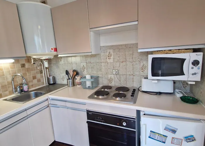Appartement Climatisé Avec Balcon Et Parking, Proche Plages De - Fr-1-780-92 Sainte-Maxime